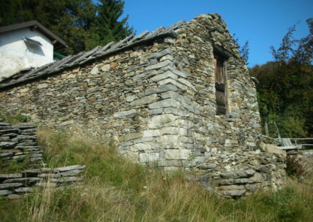 Farm building  surrounded  by nature