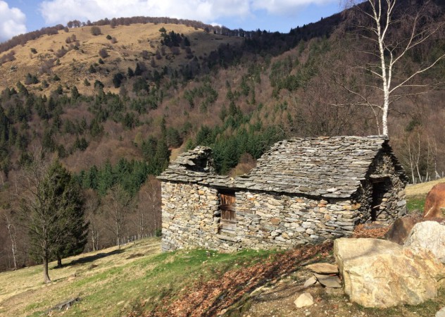 Farm building surrounded by nature